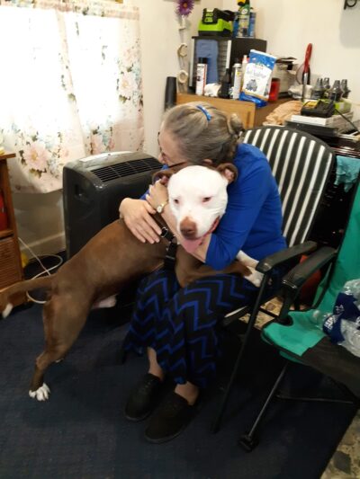 Clarke County Animal Shelter - Berryville, VA