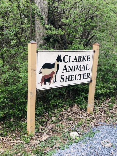 Clarke County Animal Shelter - Berryville, VA