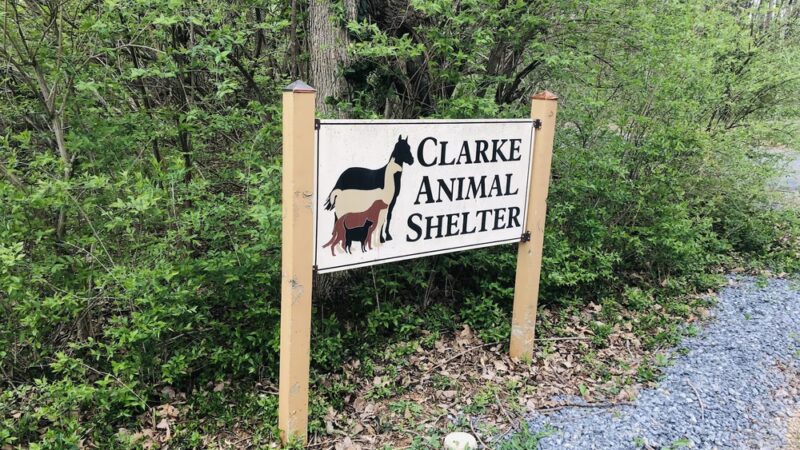 Clarke County Animal Shelter - Berryville, VA