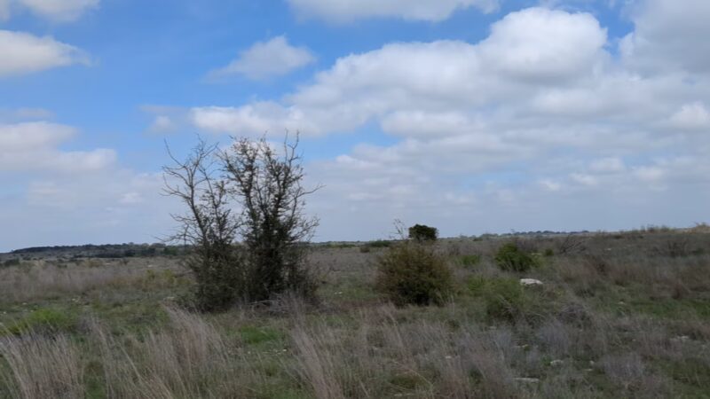Doeskin Ranch Trailhead - Bertram, TX