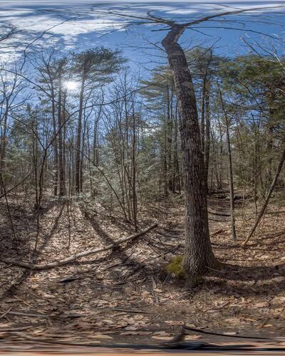 Penny Pond Woods - Berwick, ME