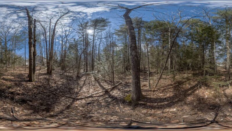 Penny Pond Woods - Berwick, ME