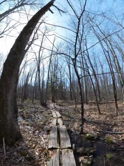 Penny Pond Woods - Berwick, ME