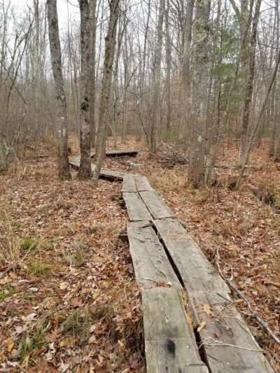 Penny Pond Woods - Berwick, ME