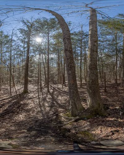 Penny Pond Woods - Berwick, ME