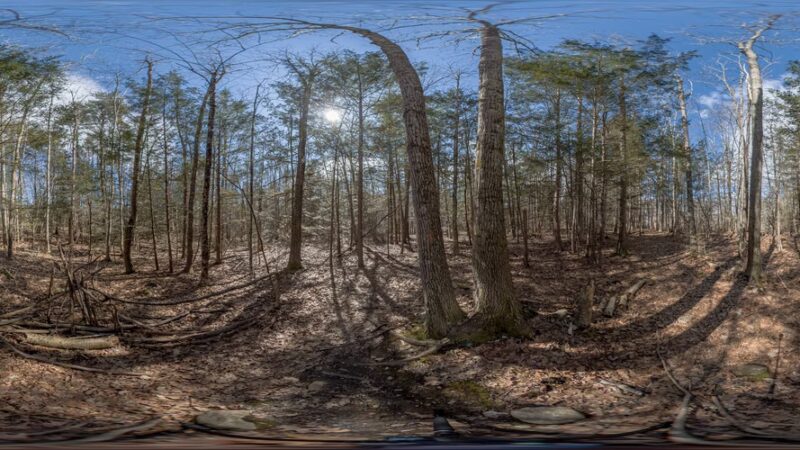 Penny Pond Woods - Berwick, ME