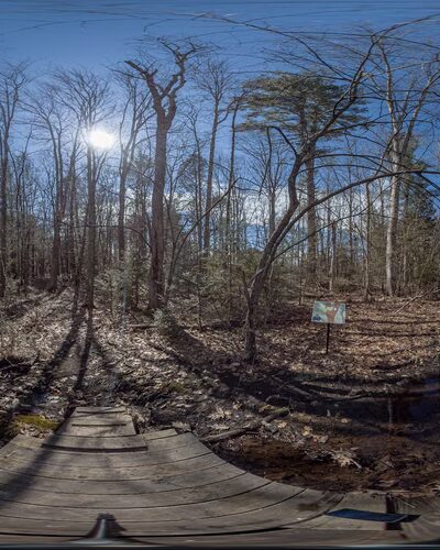 Penny Pond Woods - Berwick, ME