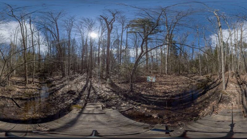 Penny Pond Woods - Berwick, ME