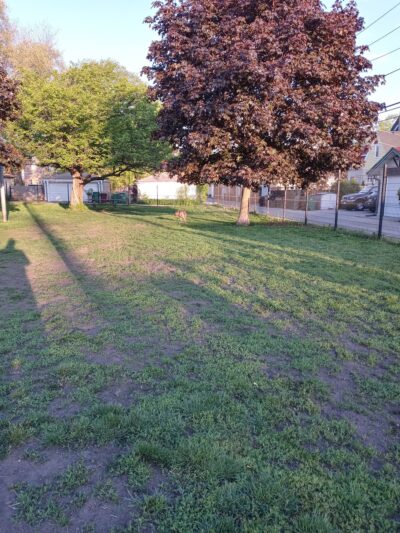 Karban Dog Park - Berwyn, IL