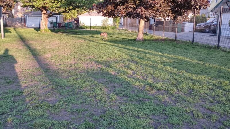 Karban Dog Park - Berwyn, IL