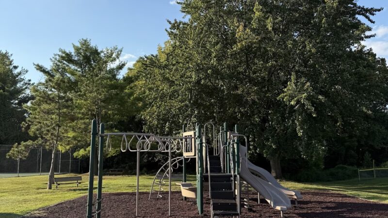 Louis D' Ambrosia Park - Berwyn, PA