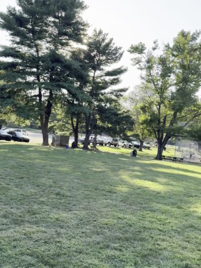 Louis D' Ambrosia Park - Berwyn, PA
