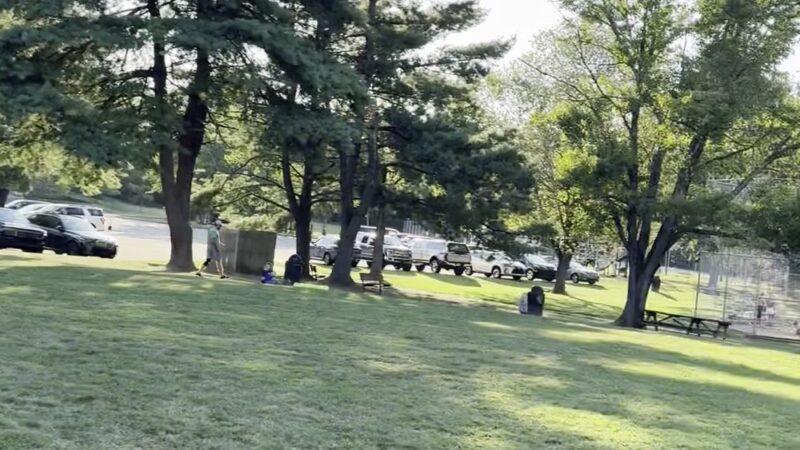 Louis D' Ambrosia Park - Berwyn, PA