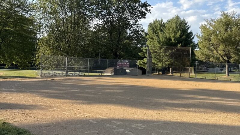 Louis D' Ambrosia Park - Berwyn, PA