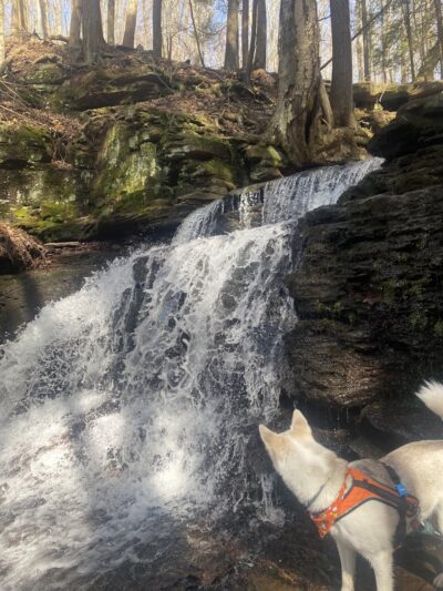 Prompton Park Parking - Bethany, PA