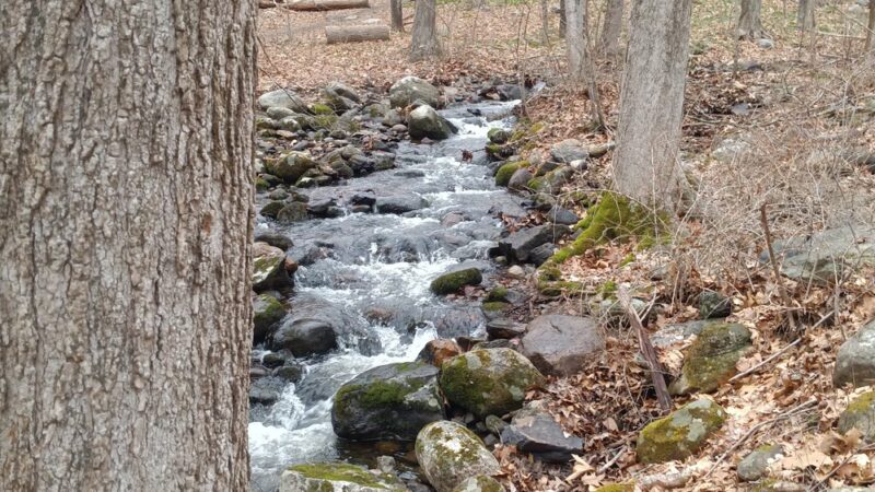 Friends of the Franc Preserve - Bethel, CT
