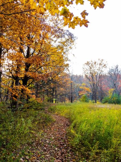 Friends of the Franc Preserve - Bethel, CT