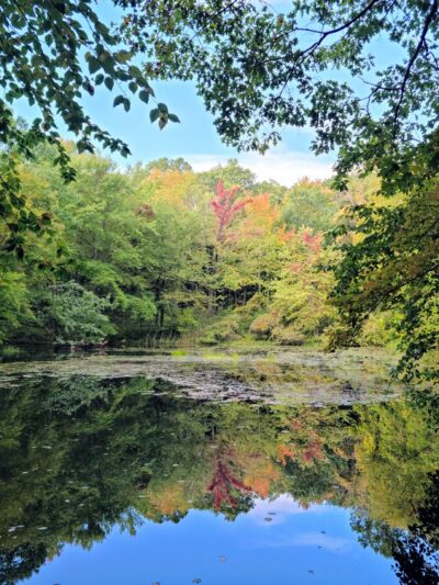 Stephenson Nature Preserve - Bethel, CT