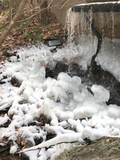 Stephenson Nature Preserve - Bethel, CT