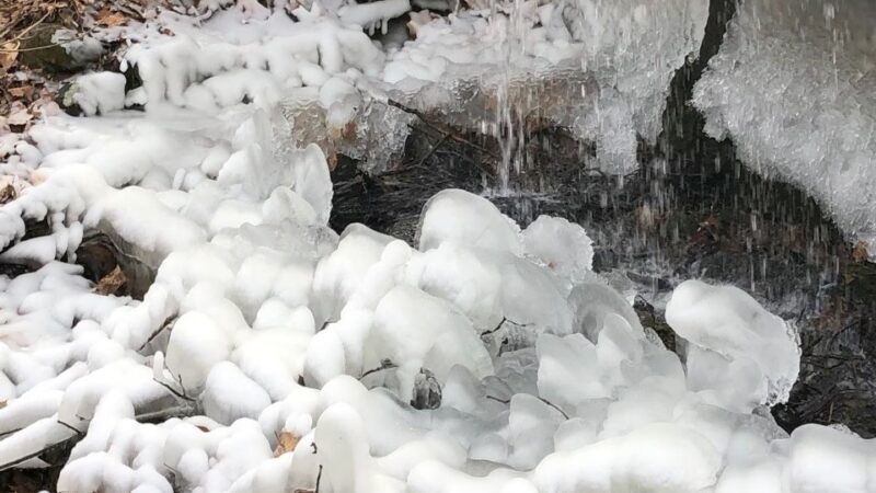 Stephenson Nature Preserve - Bethel, CT