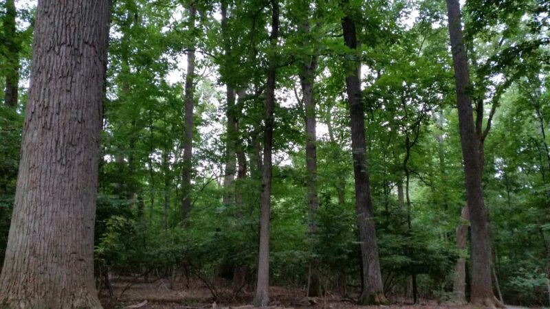 Puller Playground - Bethesda, MD