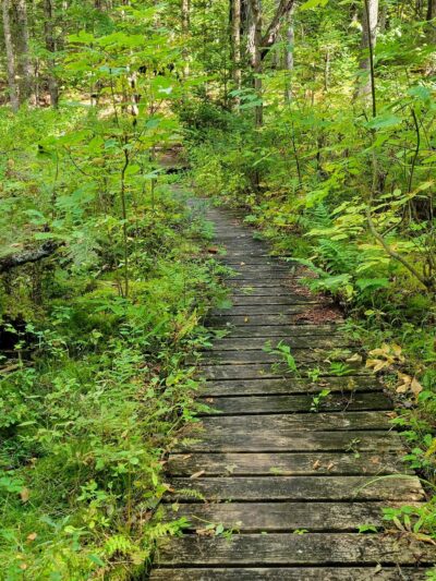 Bretzfelder Memorial Park - Bethlehem, NH