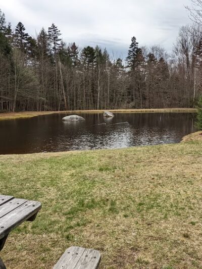 Bretzfelder Pond - Bethlehem, NH