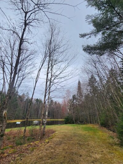 Bretzfelder Pond - Bethlehem, NH