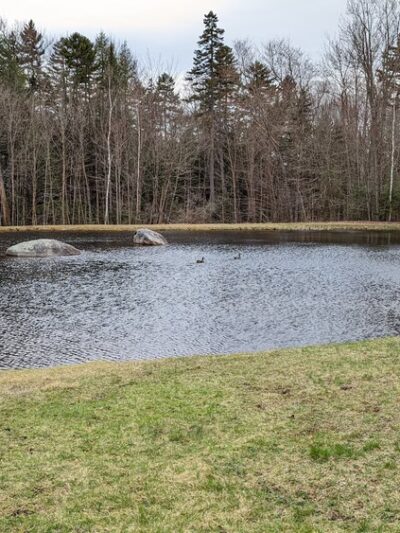 Bretzfelder Pond - Bethlehem, NH