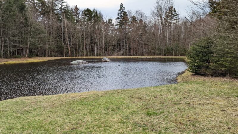 Bretzfelder Pond - Bethlehem, NH