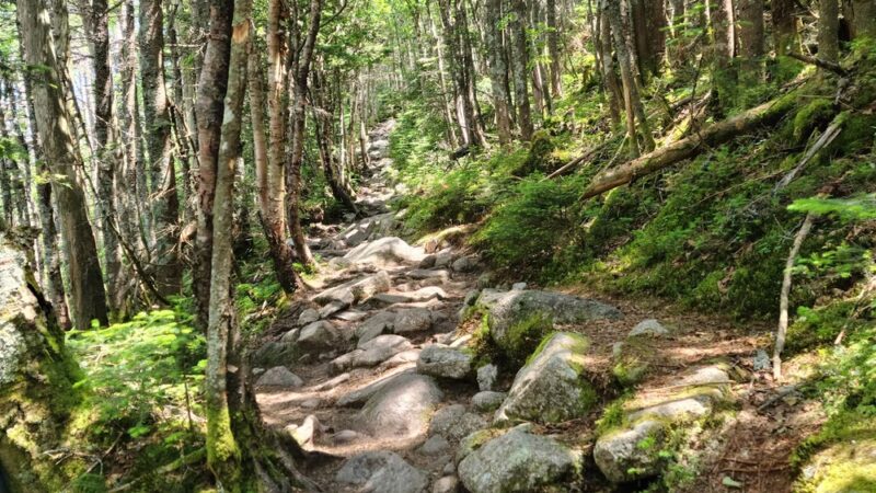 Garfield Trailhead - Bethlehem, NH