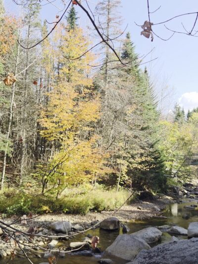 Sugarloaf Trailhead - Bethlehem, NH