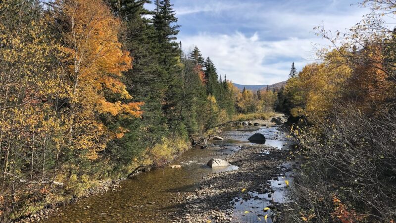 Sugarloaf Trailhead - Bethlehem, NH