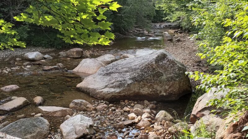 Sugarloaf Trailhead - Bethlehem, NH