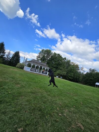 The Gazebo at Bethlehem, New Hampshire - Bethlehem, NH