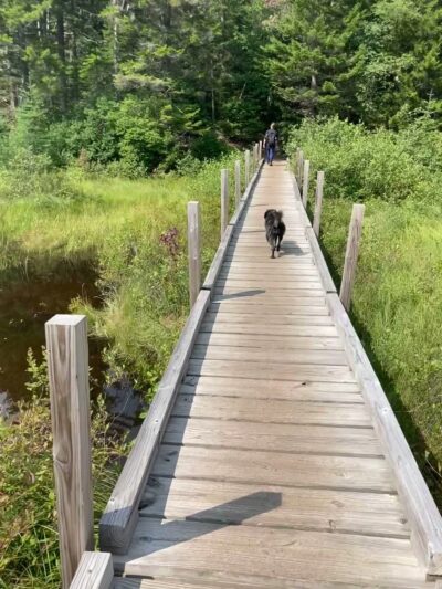 Zealand Trailhead - Bethlehem, NH