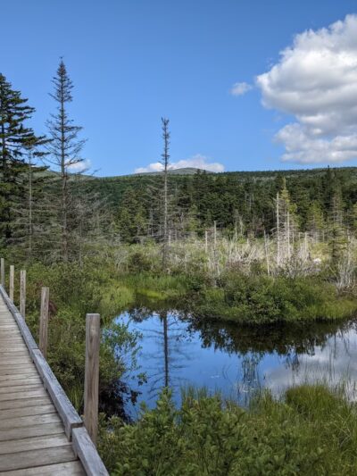 Zealand Trailhead - Bethlehem, NH