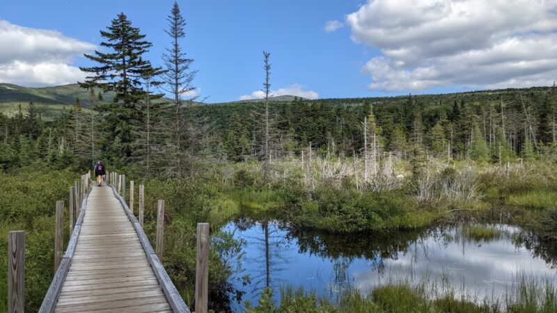 Zealand Trailhead - Bethlehem, NH