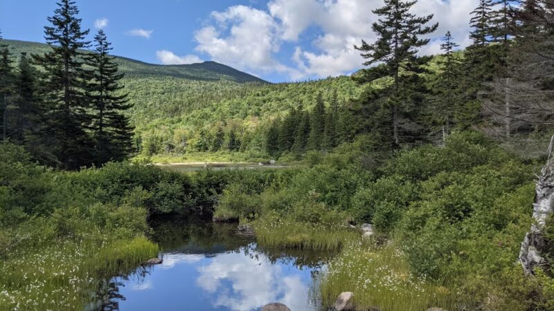 Zealand Trailhead - Bethlehem, NH