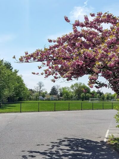 Grumman Field - Bethpage, NY
