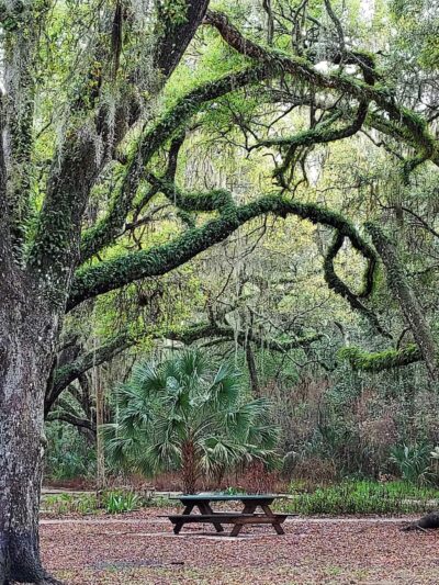 Central Ridge Park - Beverly Hills, FL