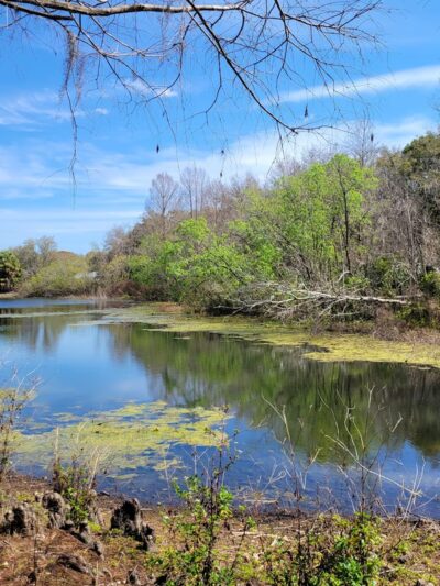 Central Ridge Park - Beverly Hills, FL