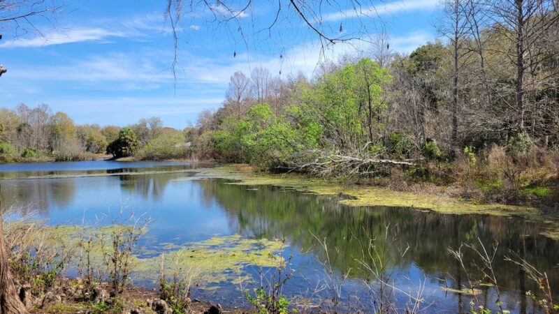 Central Ridge Park - Beverly Hills, FL