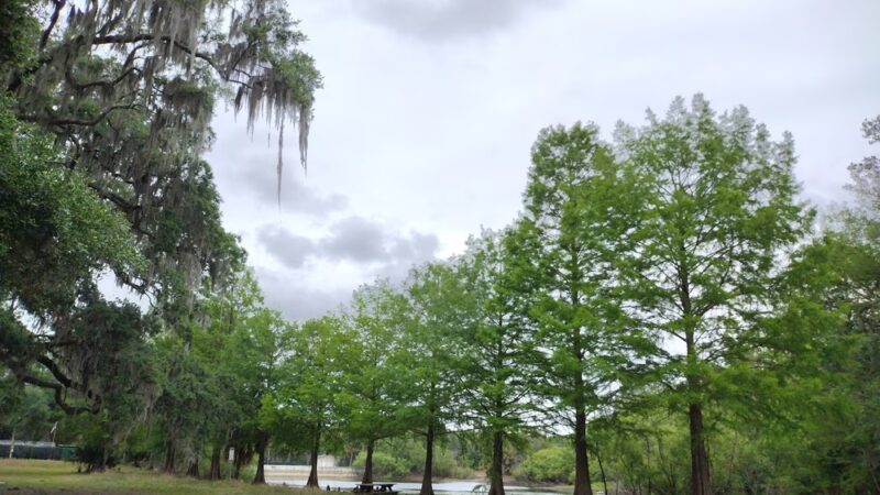 Central Ridge Park - Beverly Hills, FL