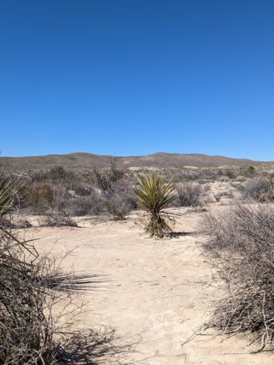 Willow Tank - Big Bend National Park, TX
