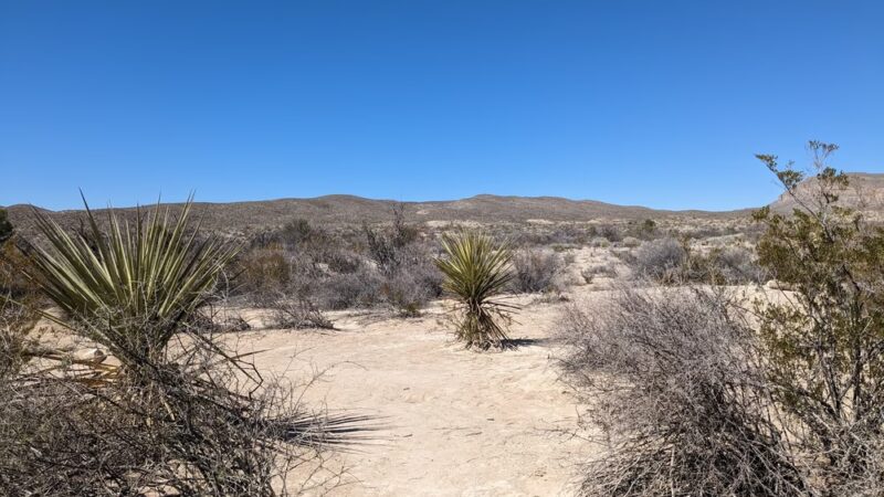 Willow Tank - Big Bend National Park, TX