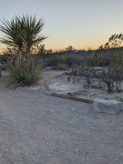 Willow Tank - Big Bend National Park, TX
