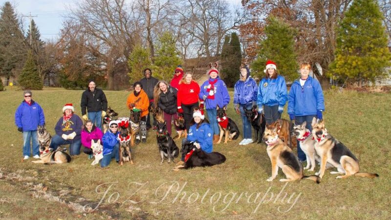German Shepherd Dog Club of Wisconsin - Big Bend, WI