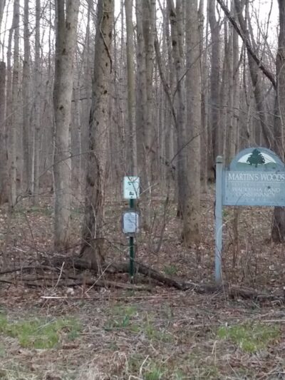 Martin's Woods State Natural Area - Big Bend, WI
