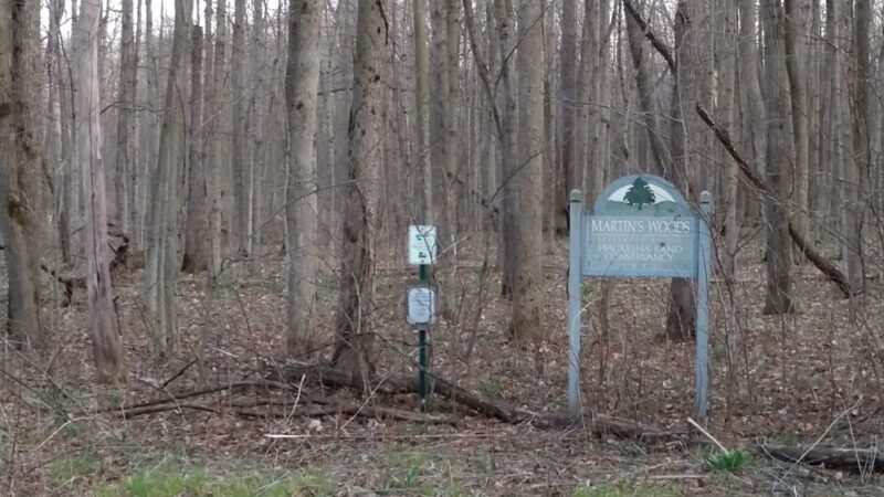 Martin's Woods State Natural Area - Big Bend, WI
